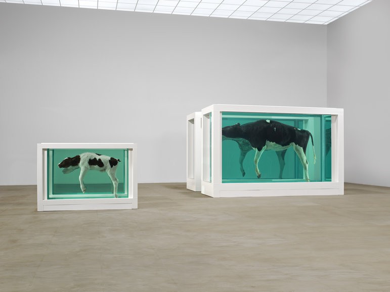 damienhirst