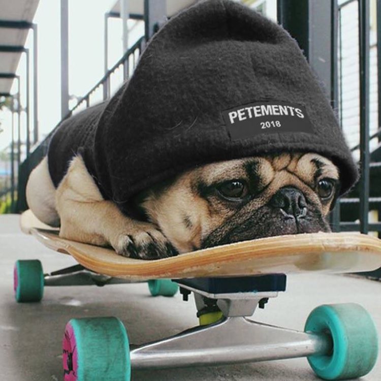 petements_official