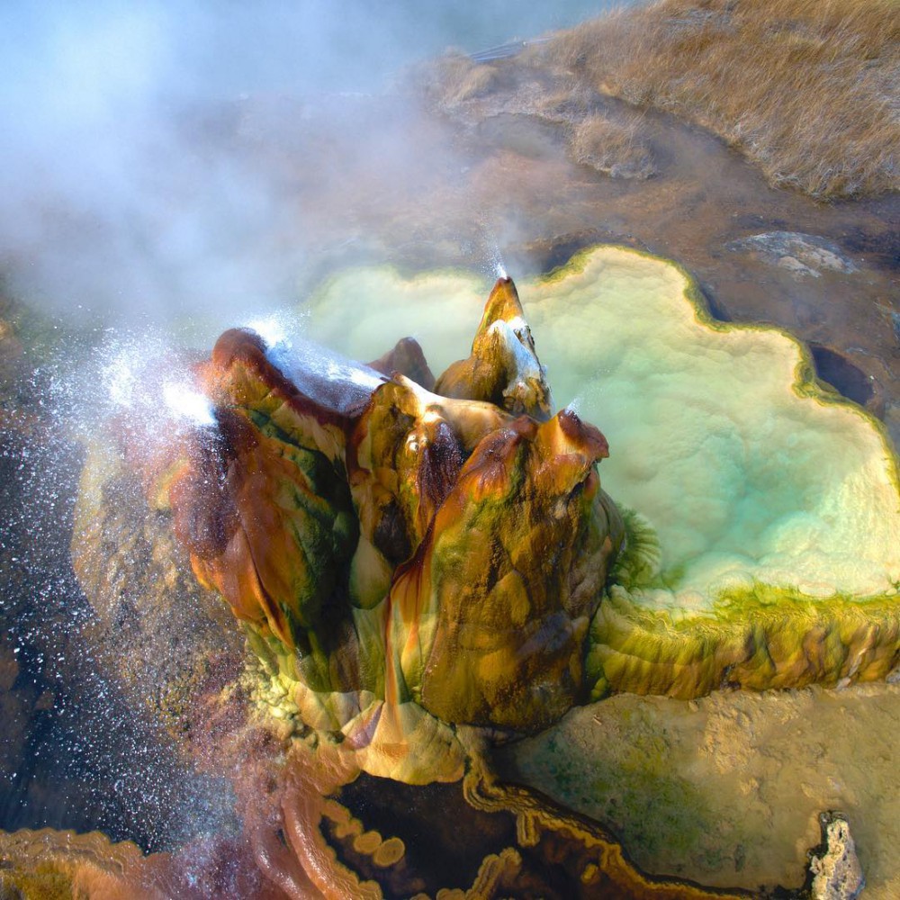 Instagram @aerialflightproductions