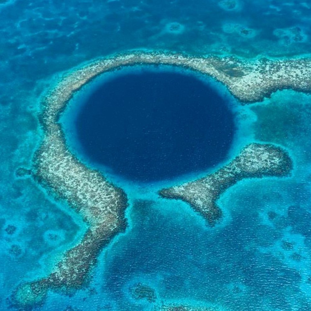 Instagram @charlottegibsonny