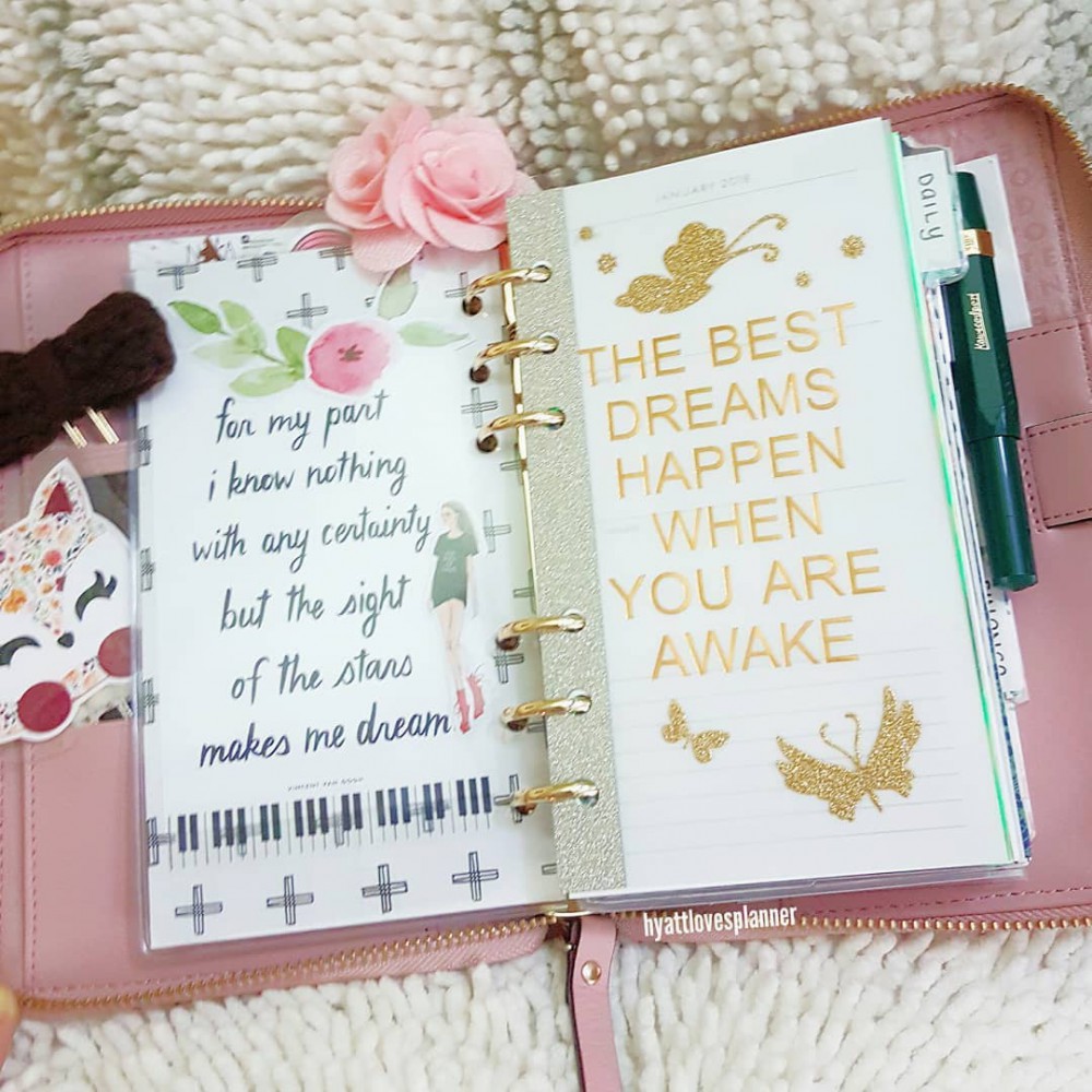 Instagram @hyattlovesplanner