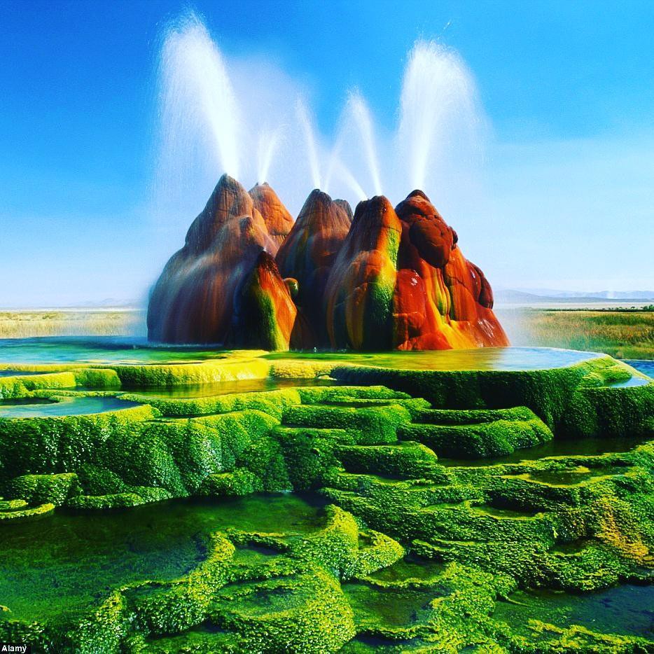 Instagram @krista_odonnell