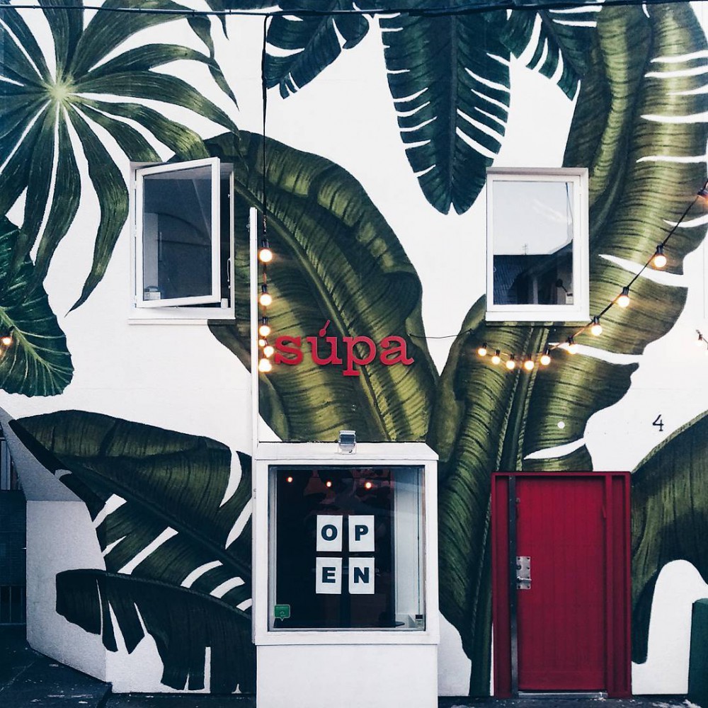 Instagram @yfsericanicole