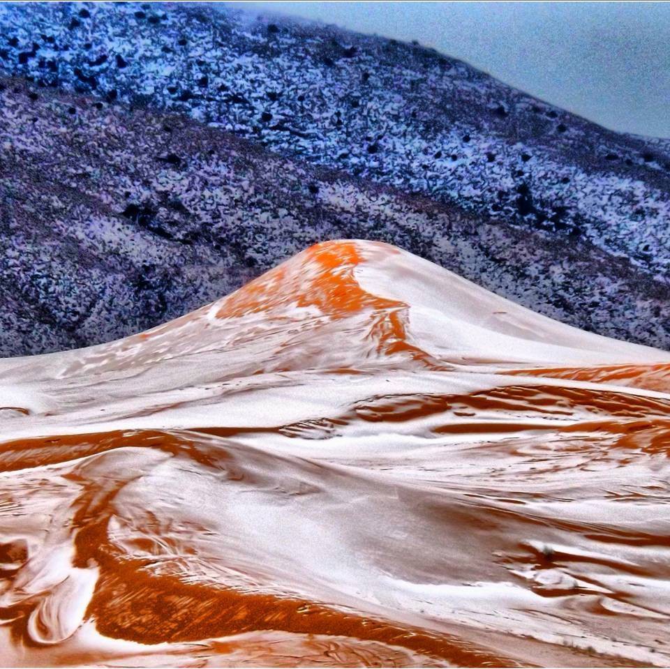 Facebook @Karim Bouchetata photography