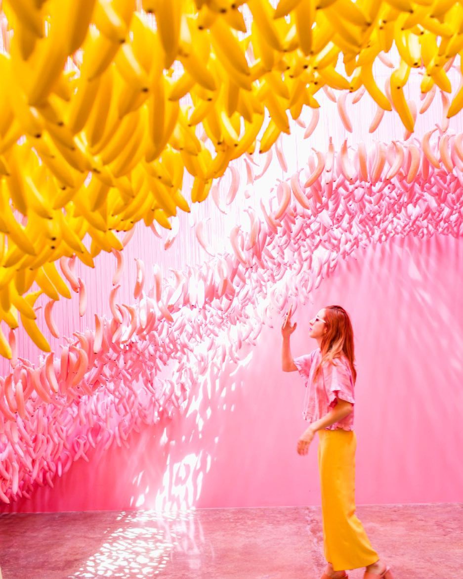 Instagram @museumoficecream