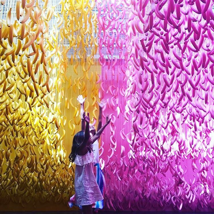 Instagram @museumoficecream