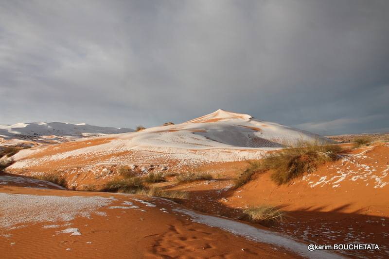 Facebook @Karim Bouchetata photography