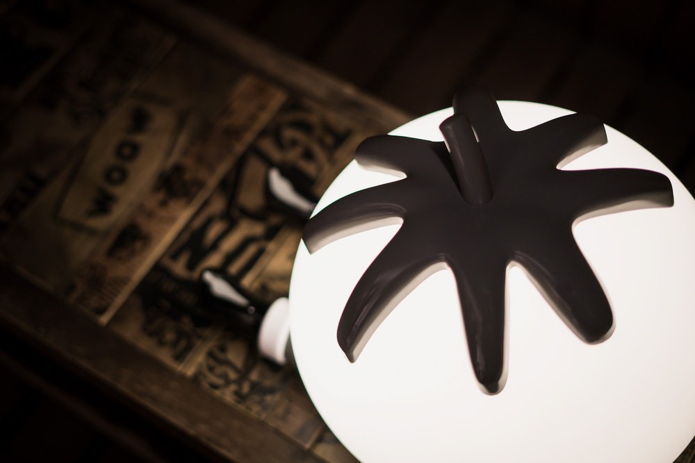 Pinterest -PARRA GIVEUP