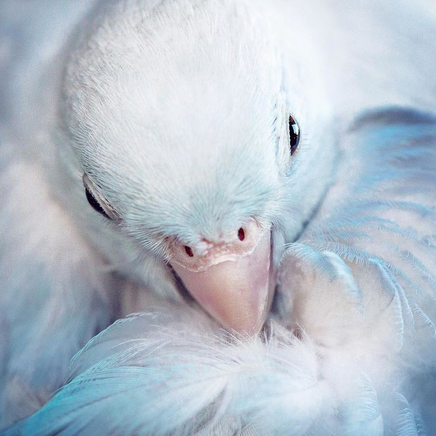 Instagram @freyaeverafter_