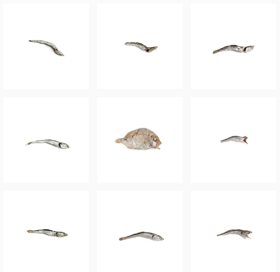 Instagram @niboshism