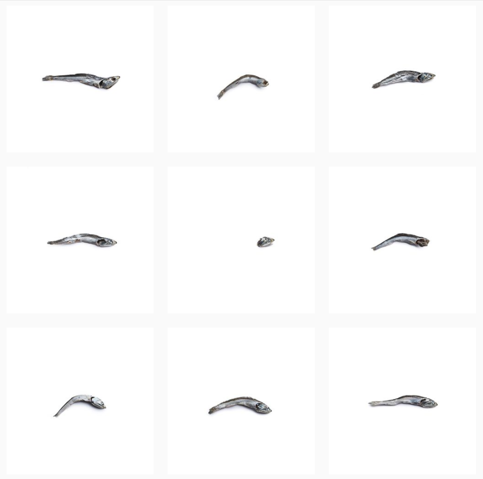 Instagram @niboshism