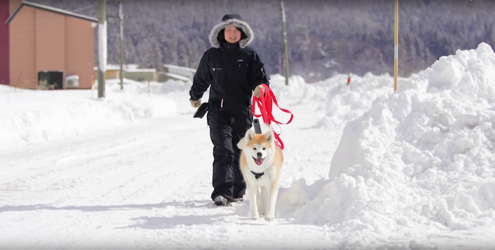 Google Japan影片截圖