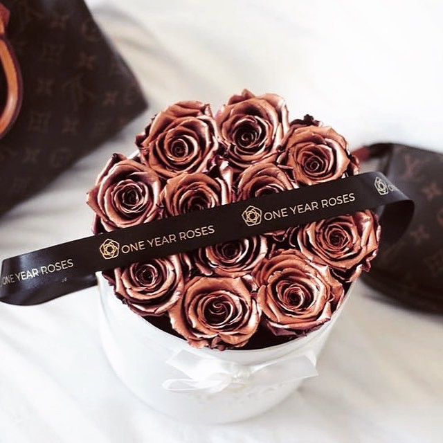 Oneyearroses Instagram