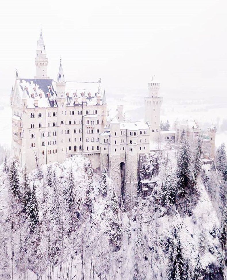 Instagram @graciousopulence