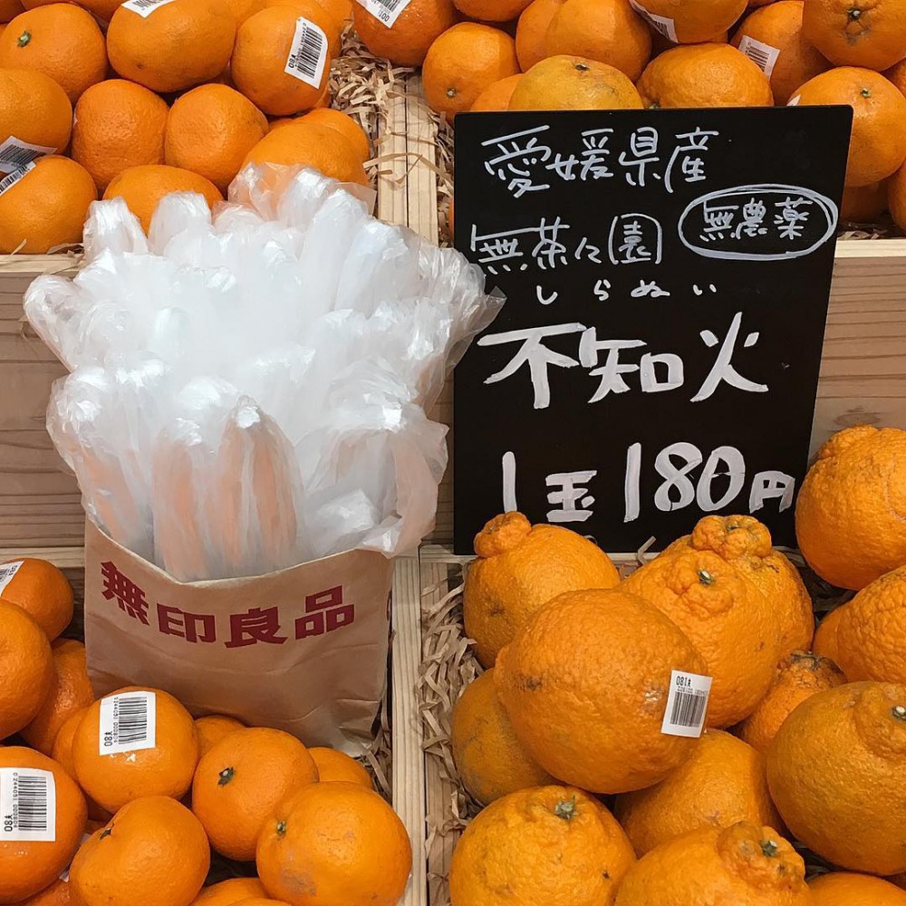 Instagram @shesaidthat_