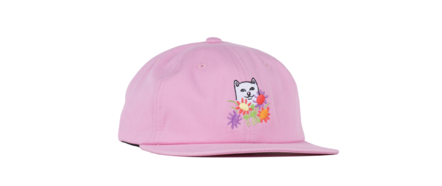 RIPNDIP