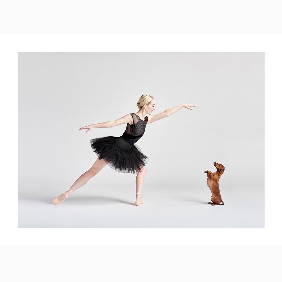 FB@Dancers & Dogs