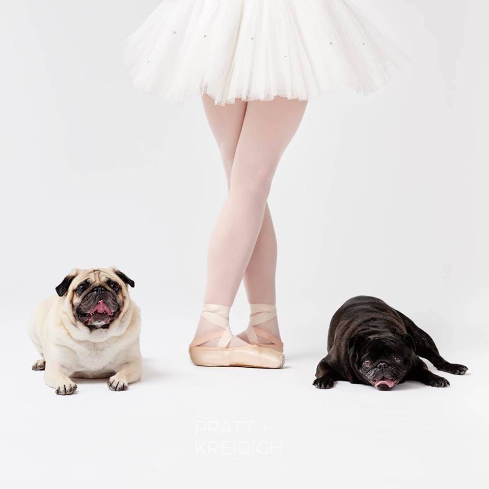 FB@Dancers & Dogs