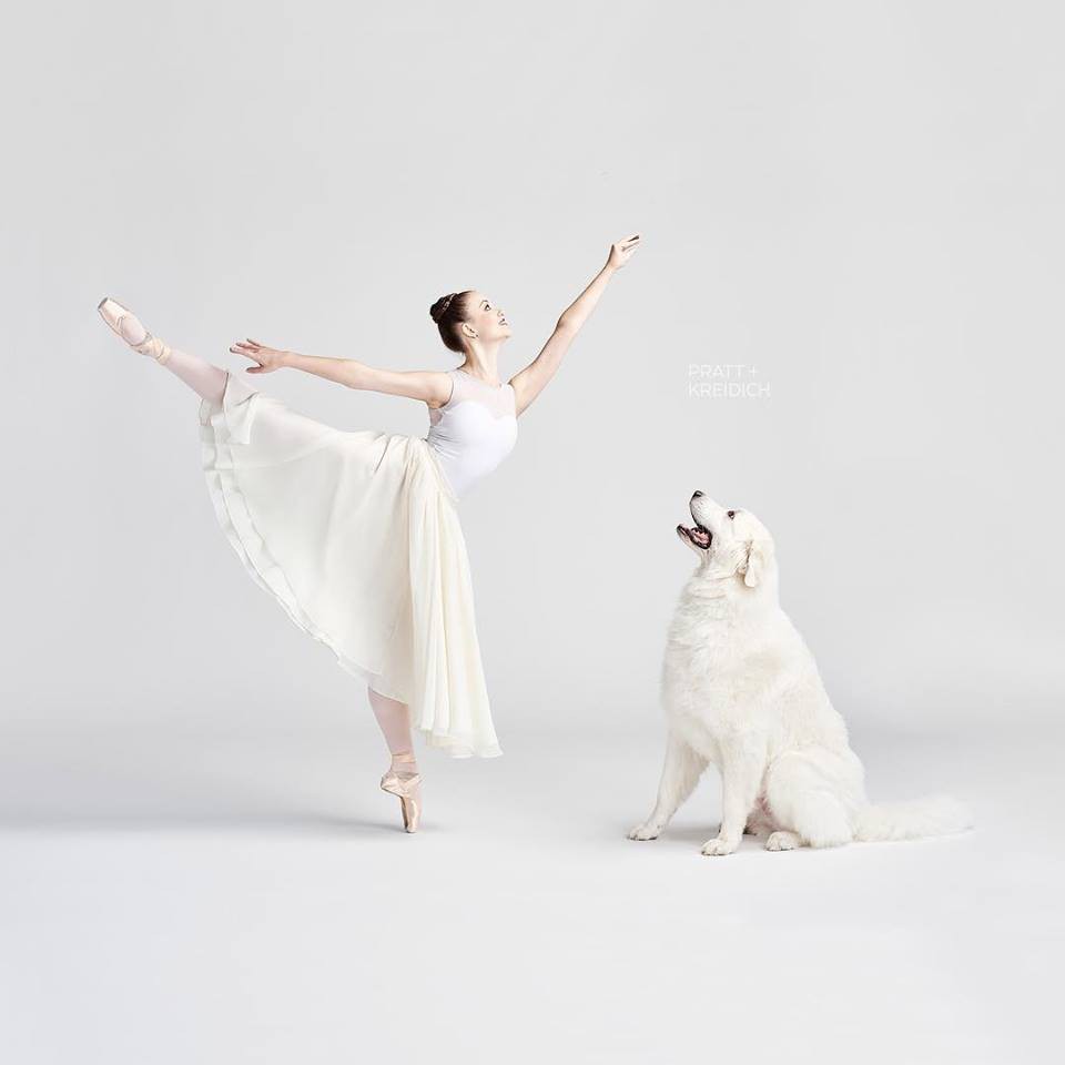 FB@Dancers & Dogs