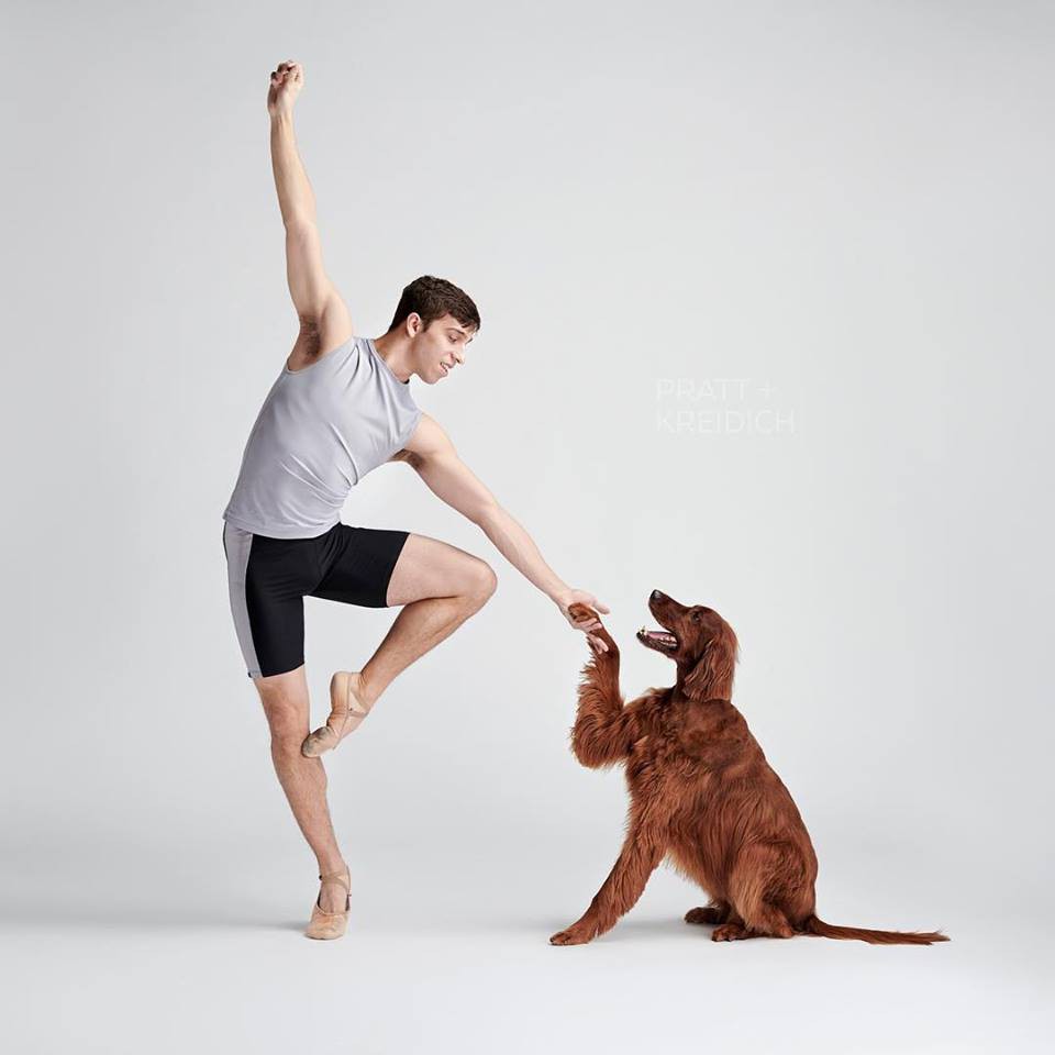FB@Dancers & Dogs