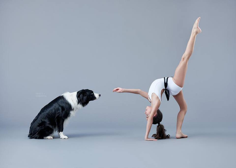 FB@Dancers & Dogs