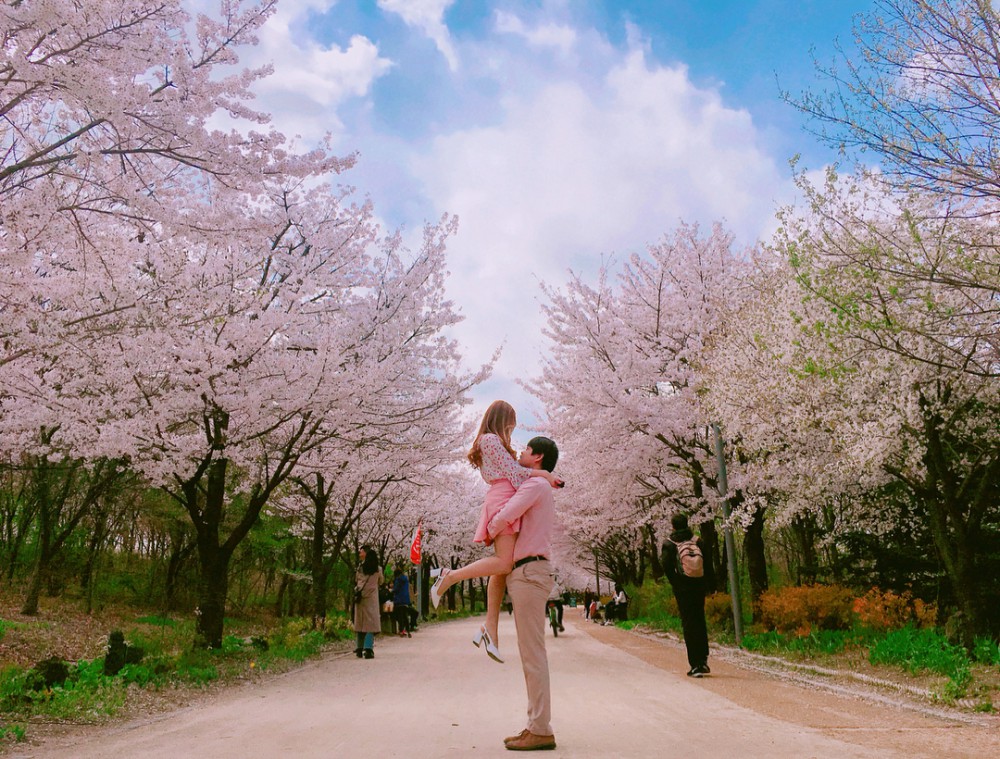 Instagram @lovepropose.kr