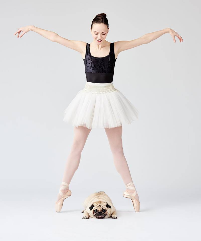 FB@Dancers & Dogs