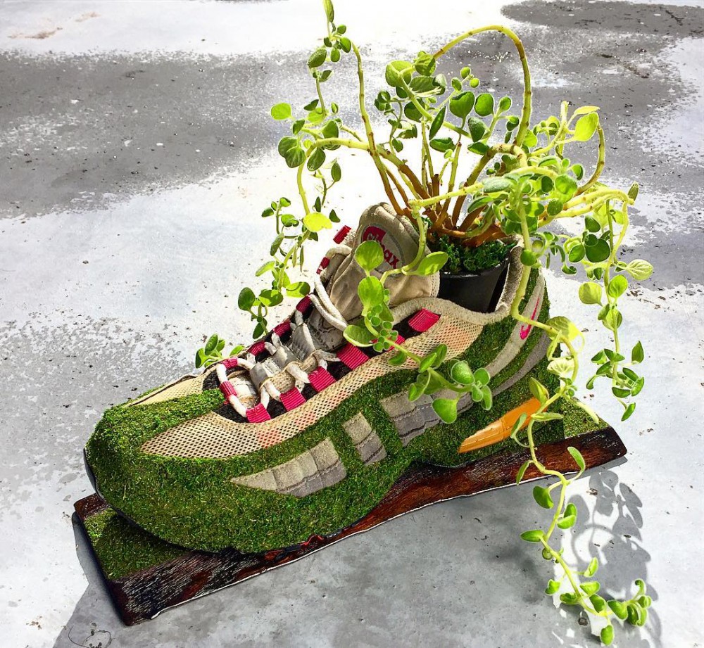 Shoetree_2016 Instagram