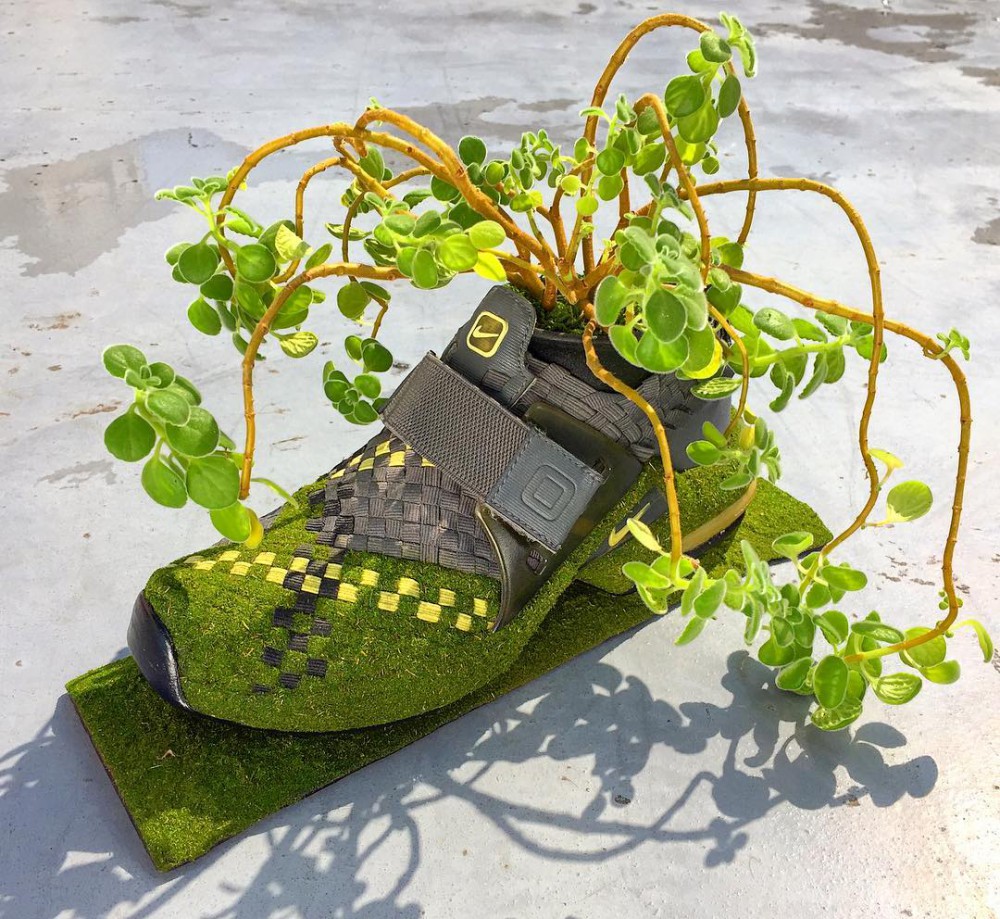 Shoetree_2016 Instagram