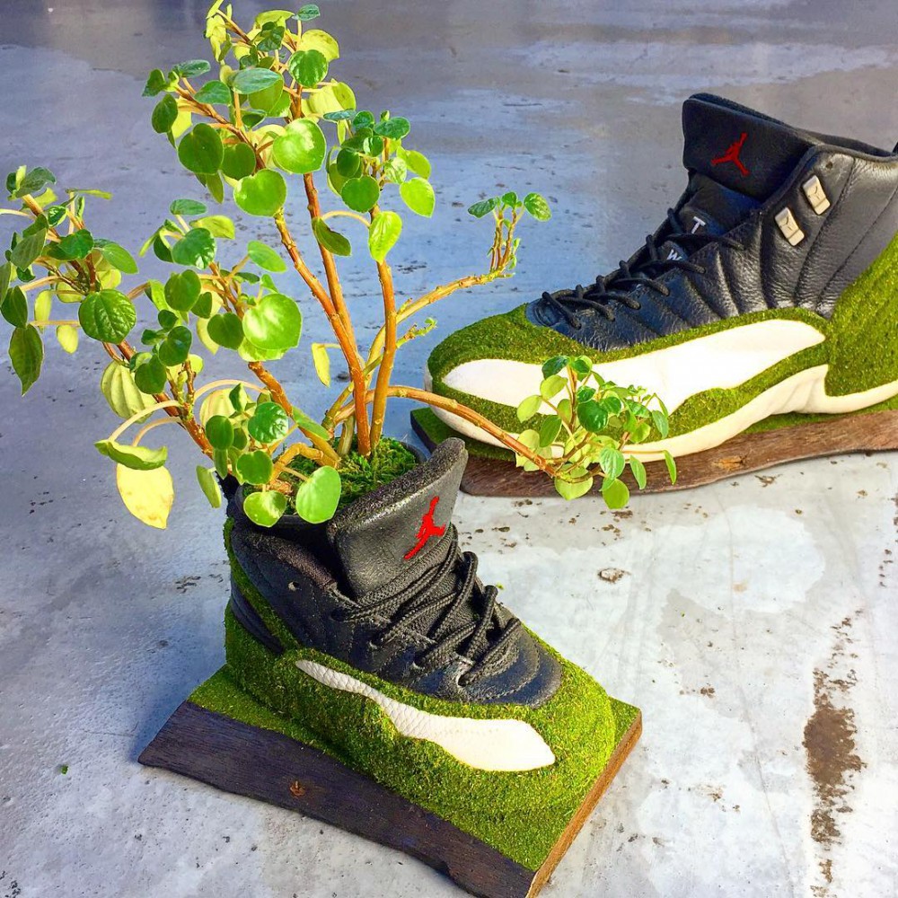 Shoetree_2016 Instagram