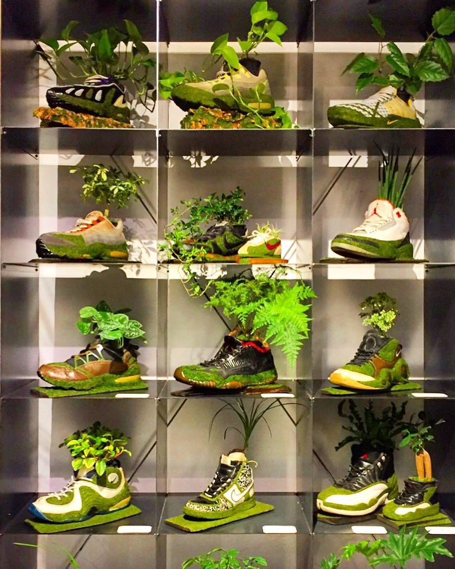 Shoetree_2016 Instagram