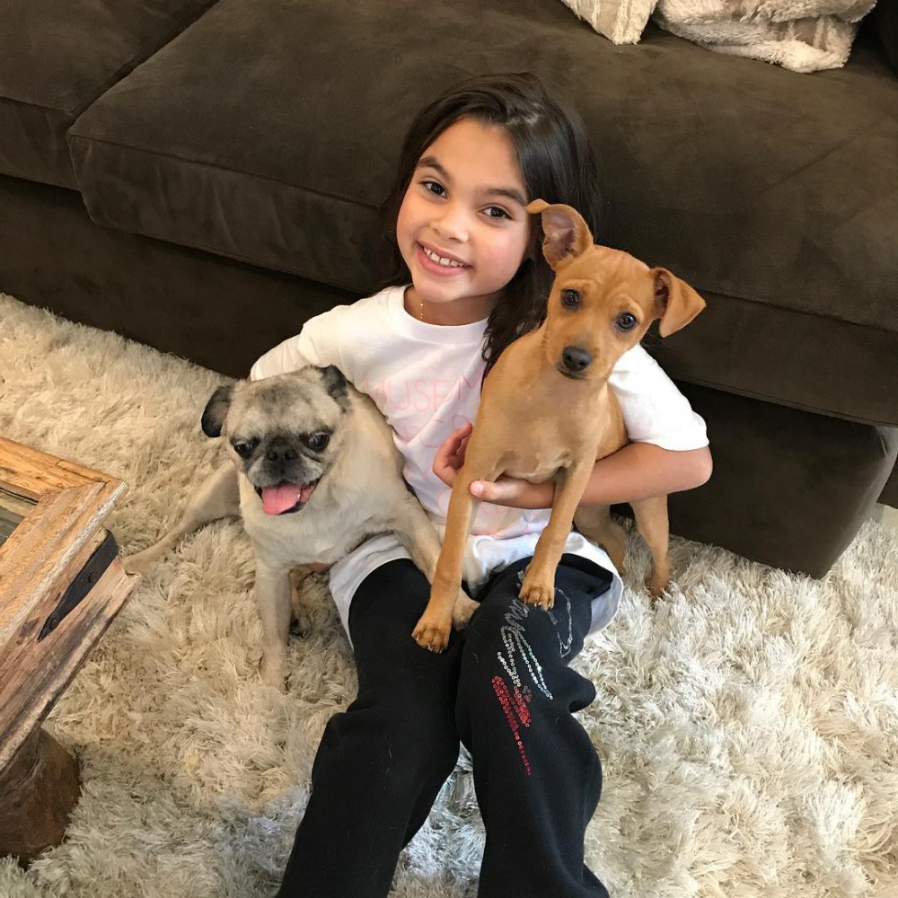 Instagram @ariana_greenblatt