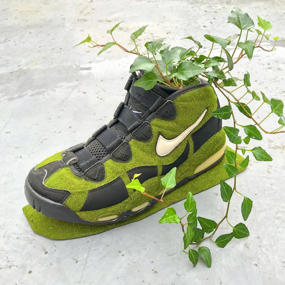 Shoetree_2016 Instagram