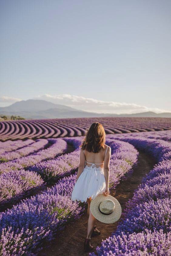 Pinterest