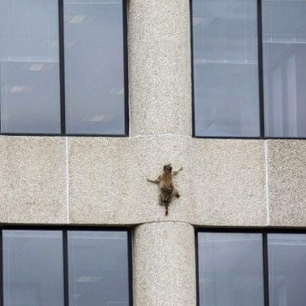 Instagram @sienaandtoast