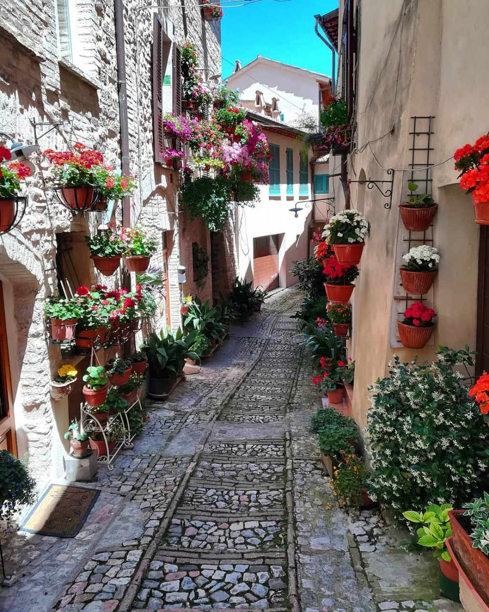 Instagram @erikamanti09