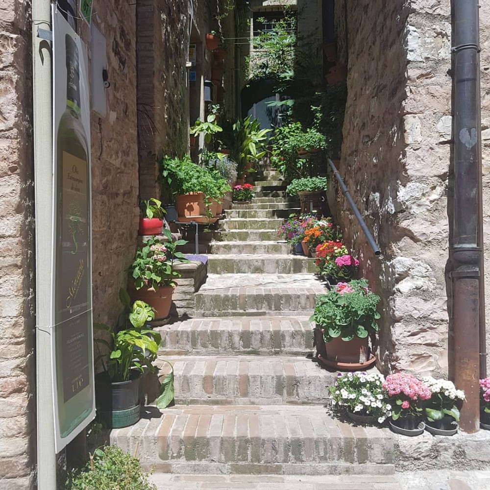 Instagram @ritamarzanati