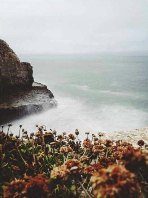 Pinterest