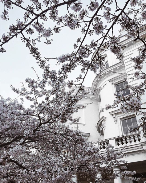 Instagram @whatevawears