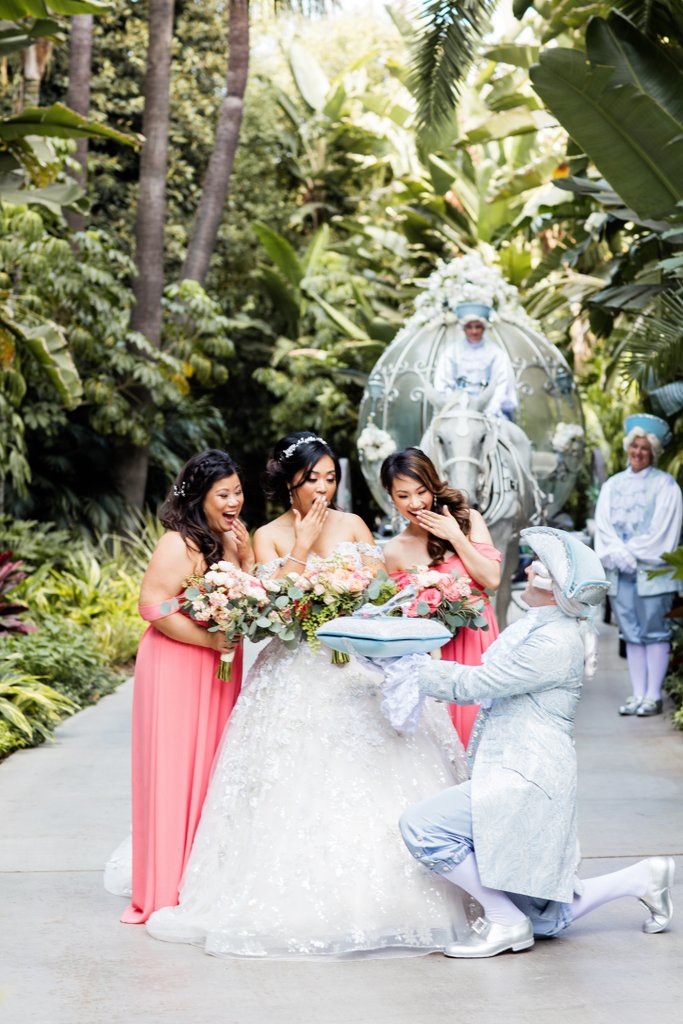 White Rabbit Photo Boutique