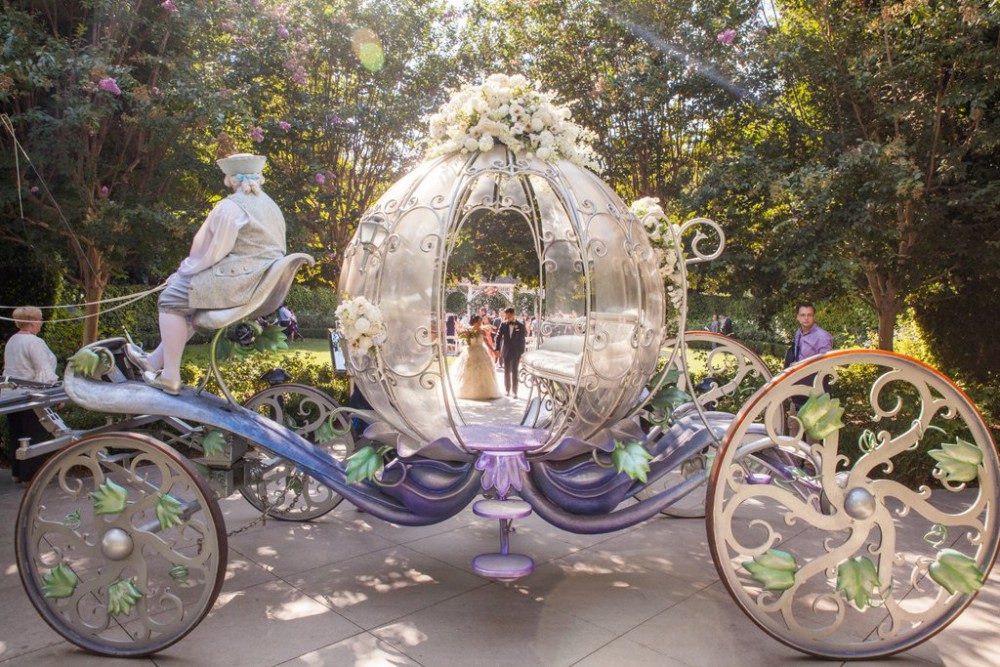 White Rabbit Photo Boutique