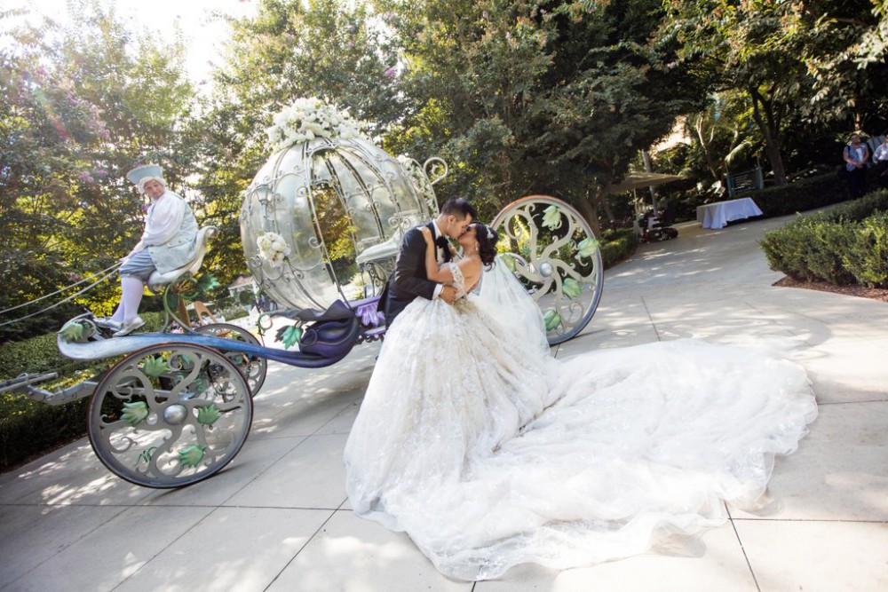 White Rabbit Photo Boutique