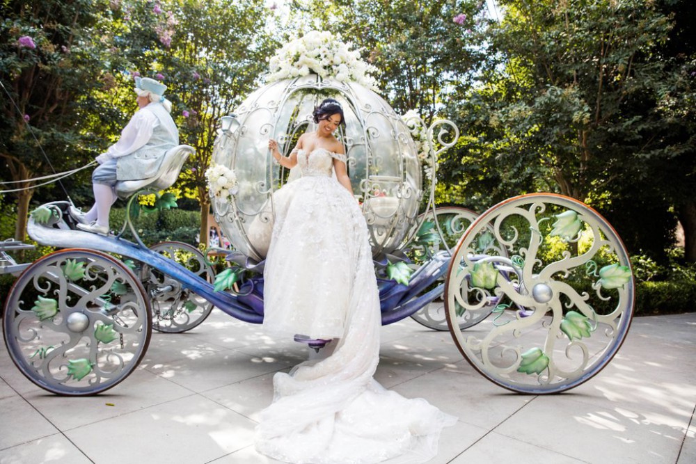 White Rabbit Photo Boutique