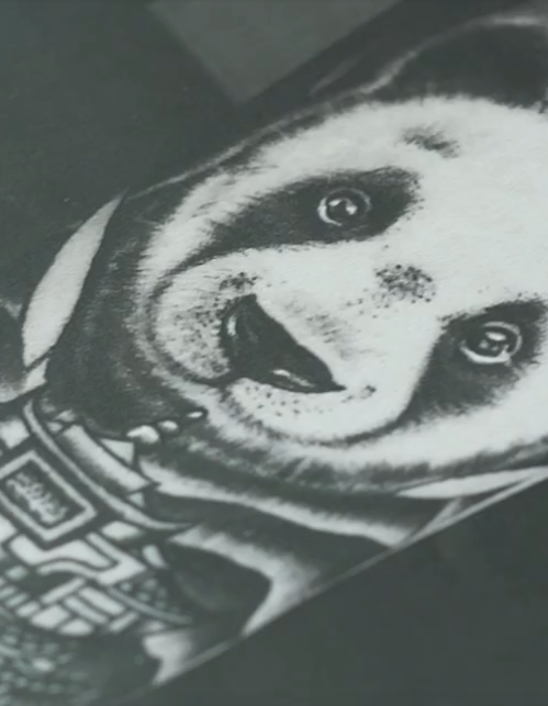 Screen Shot 2018-08-24 at 4.29.26 PM