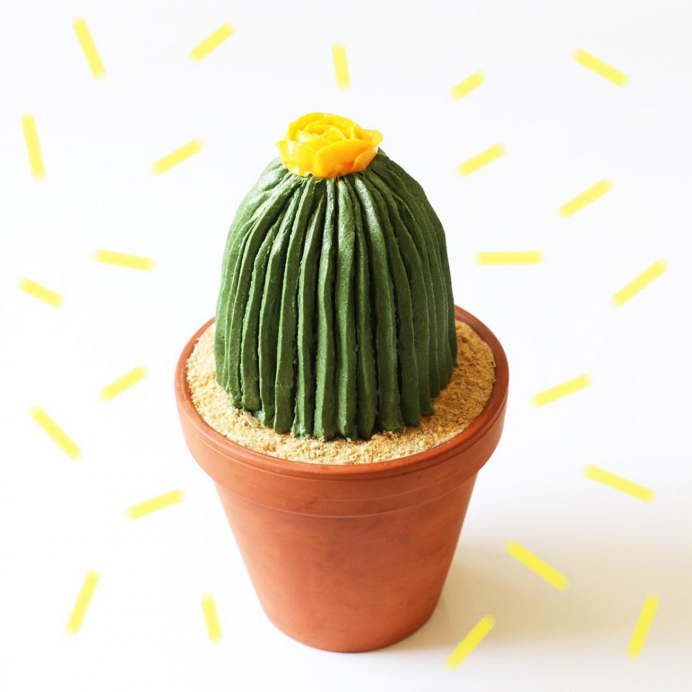 Instagram @alanajonesmann