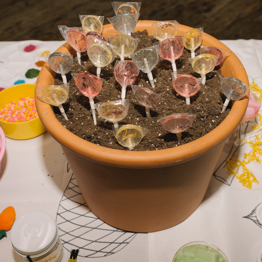 Instagram @amborellaorganics