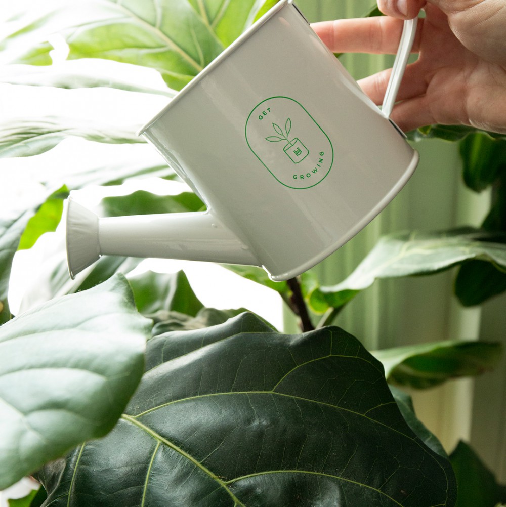 Instagram @amborellaorganics