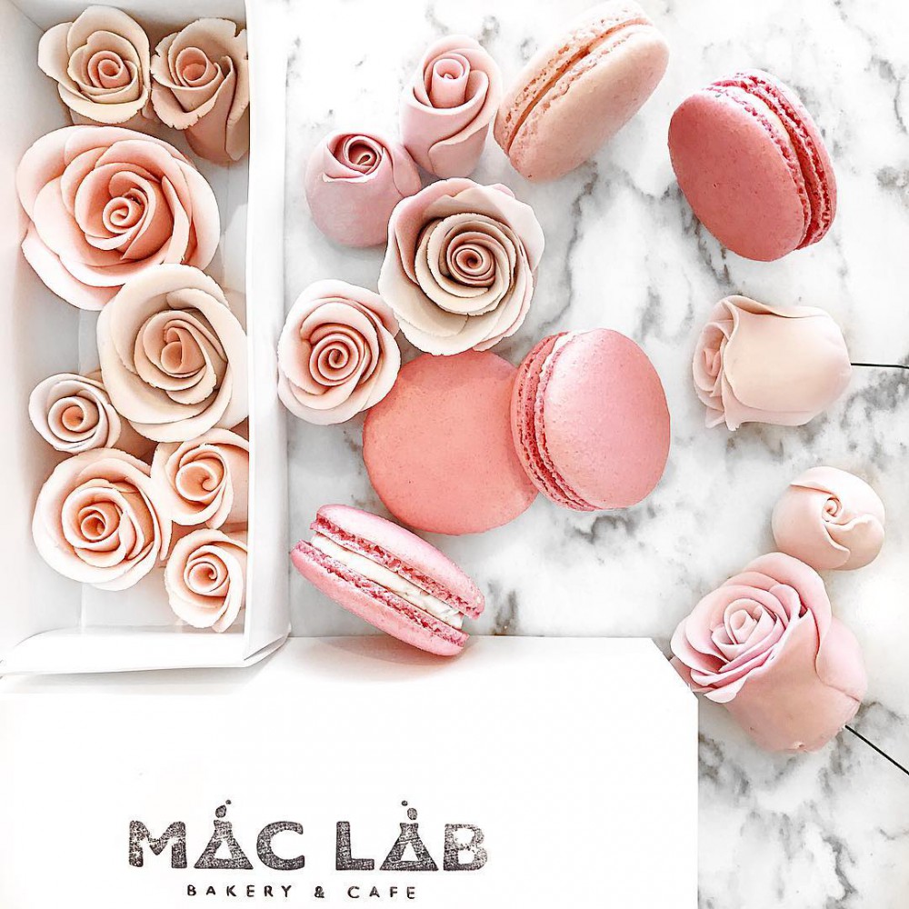 Instagram @mac_lab