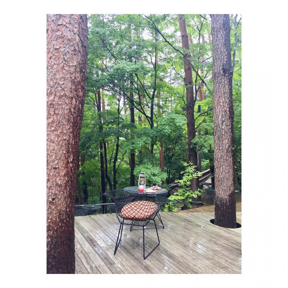 Instagram @madosunsea