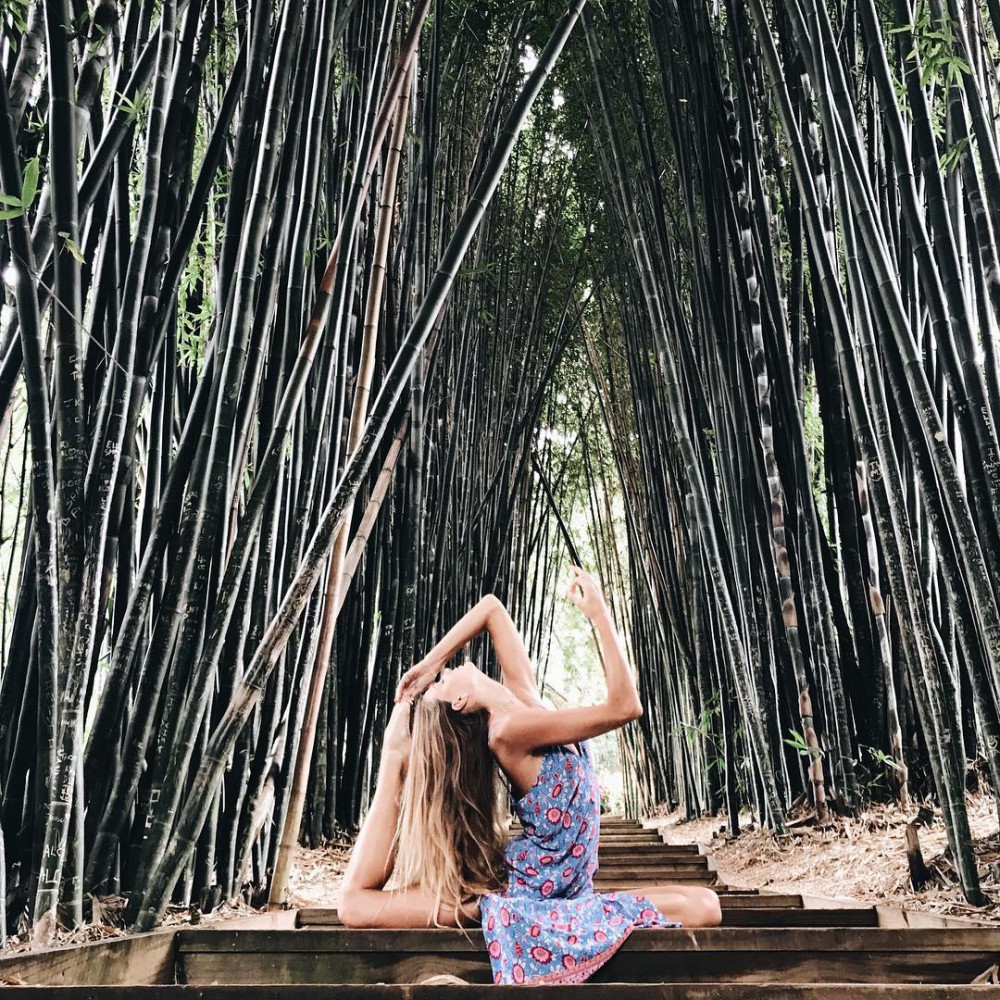 Instagram @sjanaelise